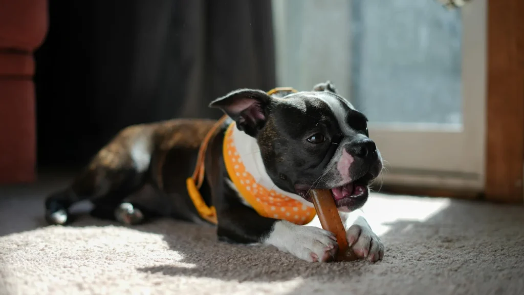 Teething Troubles? Gentle Ways to Bring Comfort
