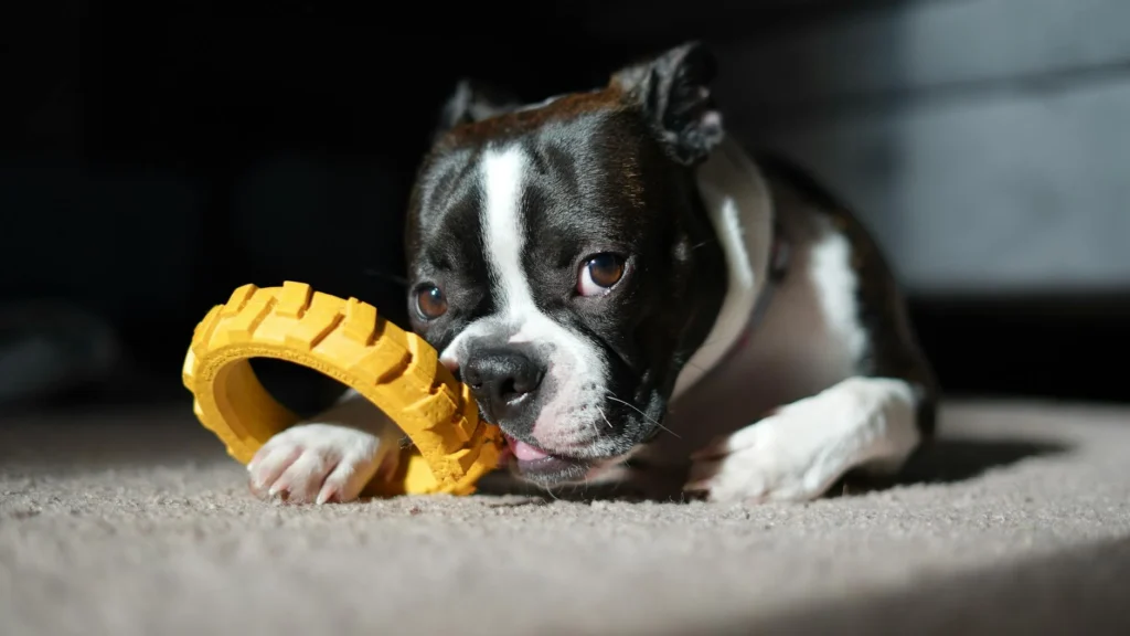 Teething Troubles? Gentle Ways to Bring Comfort