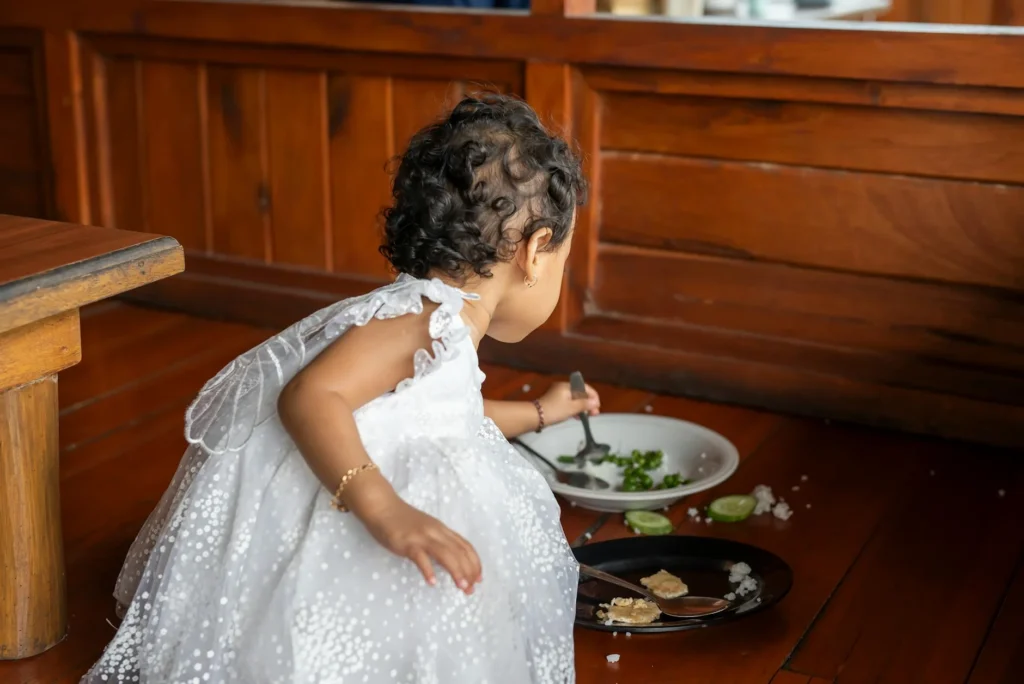 Toddler-Friendly Veggie Omelet